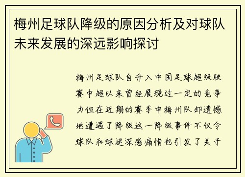 梅州足球队降级的原因分析及对球队未来发展的深远影响探讨